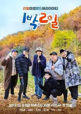 向往的生活7 综艺 2024 黄磊 何炅 张艺兴